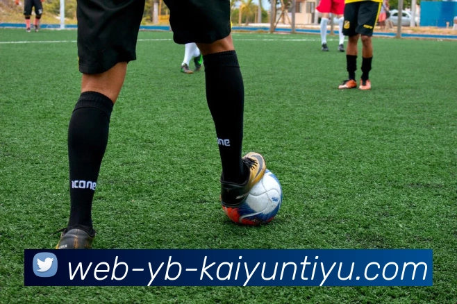 开云体育APP 高清赛事图